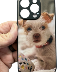 Thumbnail of